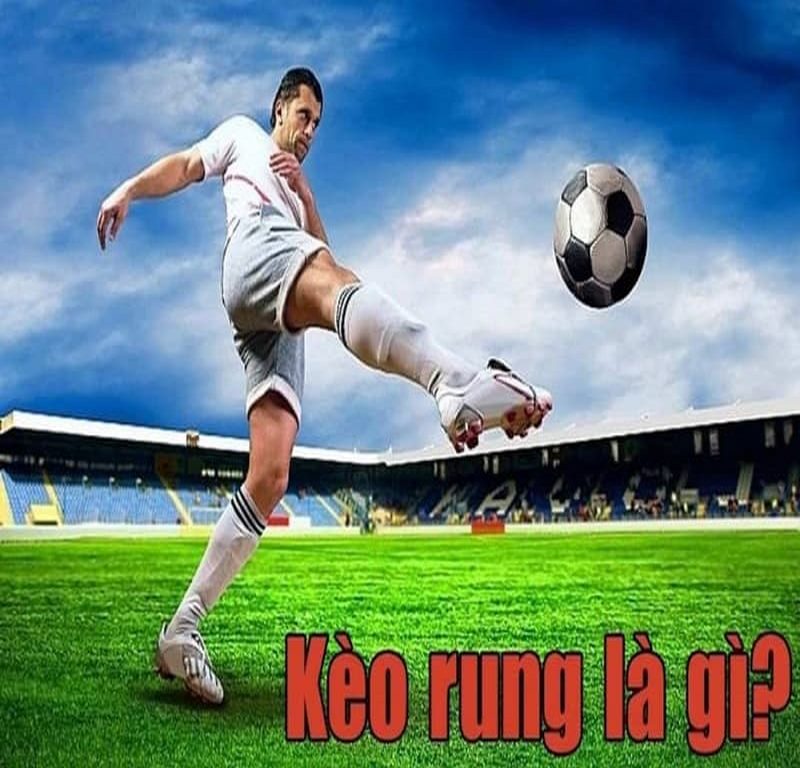 Nắm bắt lưu ý để bắt kèo rung hiệu quả