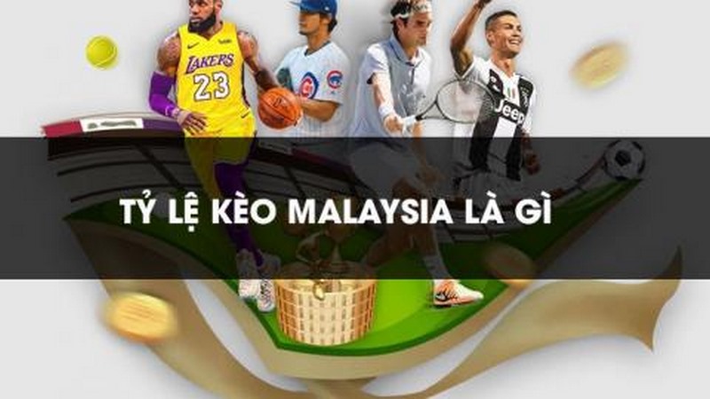 Tỷ lệ kèo Malaysia được các nhà cái cập nhật thường xuyên