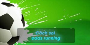 Odds có trong cá cược hiện nay có những loại nào