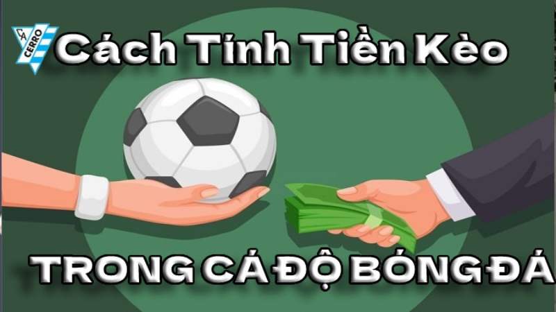 Thuật ngữ trong cách tính tiền cá độ bóng đá