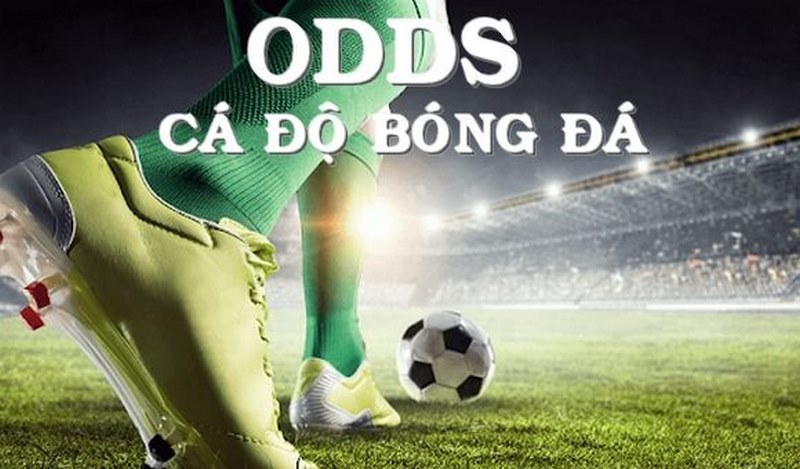 Nhiều loại Odds xuất hiện trên nhà cái hiện nay