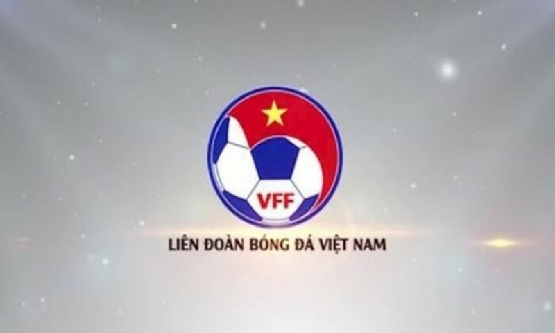 Tổ chức VFF có chức năng quản lý bóng đá