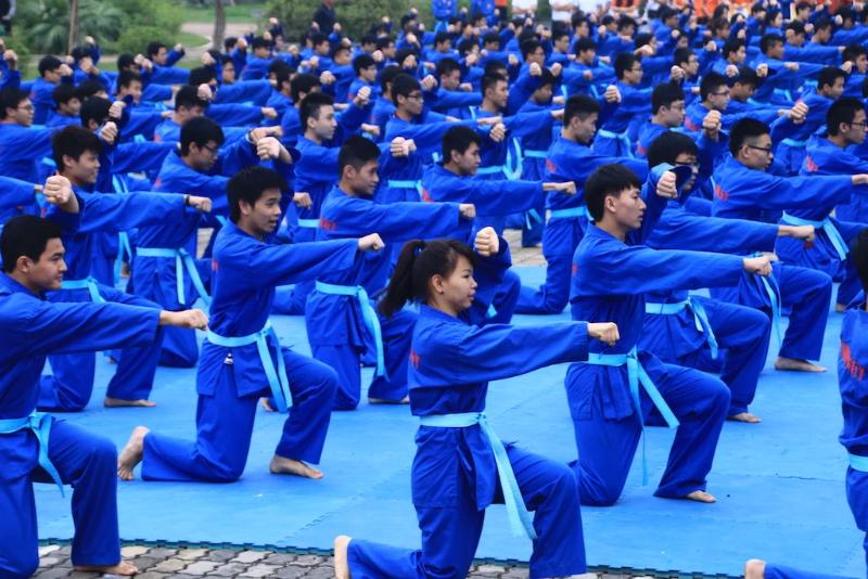 Đặc trưng của Vovinam? Nguyên lý một phát triển thành ba